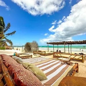 la-diosa-tulum-resort-spa.allrivieramayahotels.com/